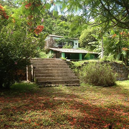 Casa Do Ney Villa Fernando de Noronha Eksteriør billede