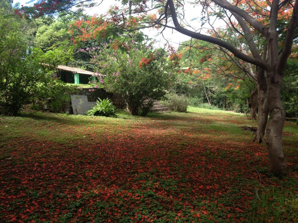 Casa Do Ney Villa Fernando de Noronha Eksteriør billede